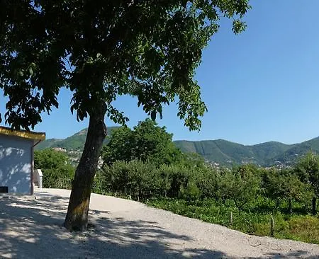 Elisa Oda ve Kahvaltı