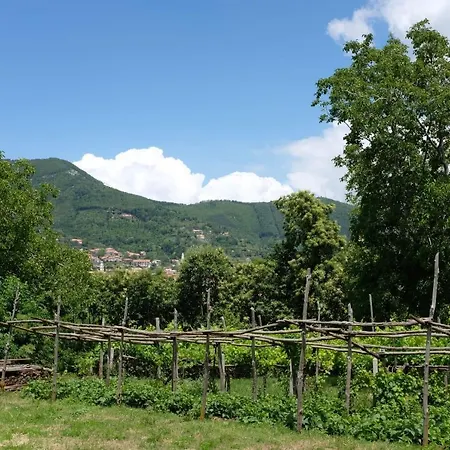 Oda ve Kahvaltı Elisa