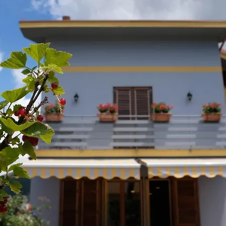 Elisa Bed and Breakfast